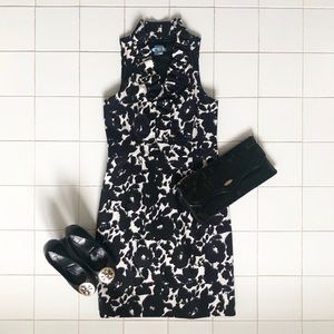 Ruffle Collar Taylor Dress